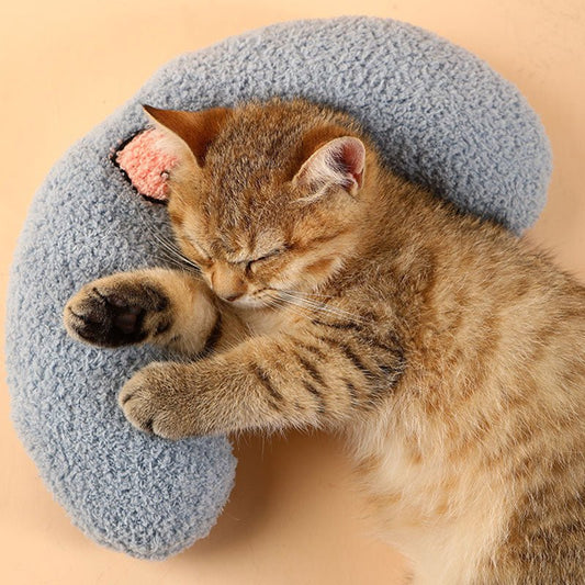 Comfortable Cat Pillow - Arthur's Paws