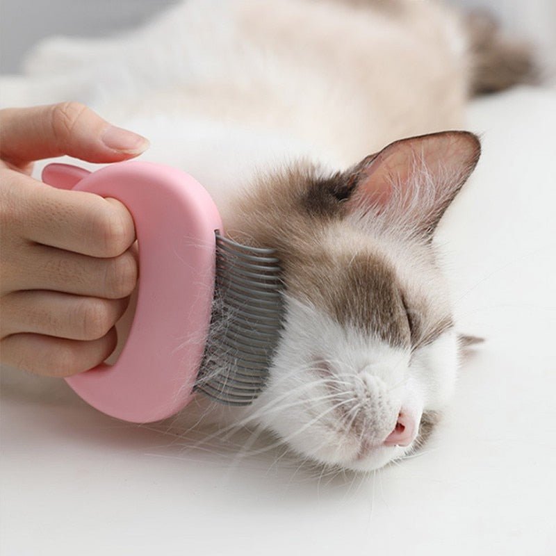 Massaging Shell Comb for Pet Grooming - Arthur's Paws